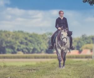 Just 4 Fun Charters | Griffith, Indiana | Horseback Riding & Dude Ranches