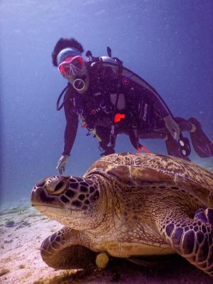 Scuba Diving & Snorkeling in South America
