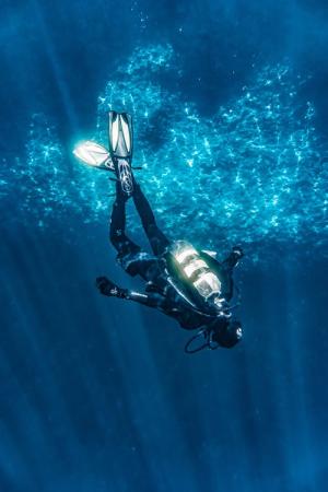 Baskin in the Sun | Beef Island, British Virgin Islands | Scuba Diving & Snorkeling