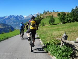 Bike Tours in Europe