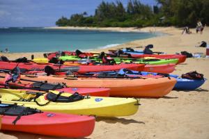 Dukes Kayak Adventures | Kapaa, Hawaii | Kayaking & Canoeing