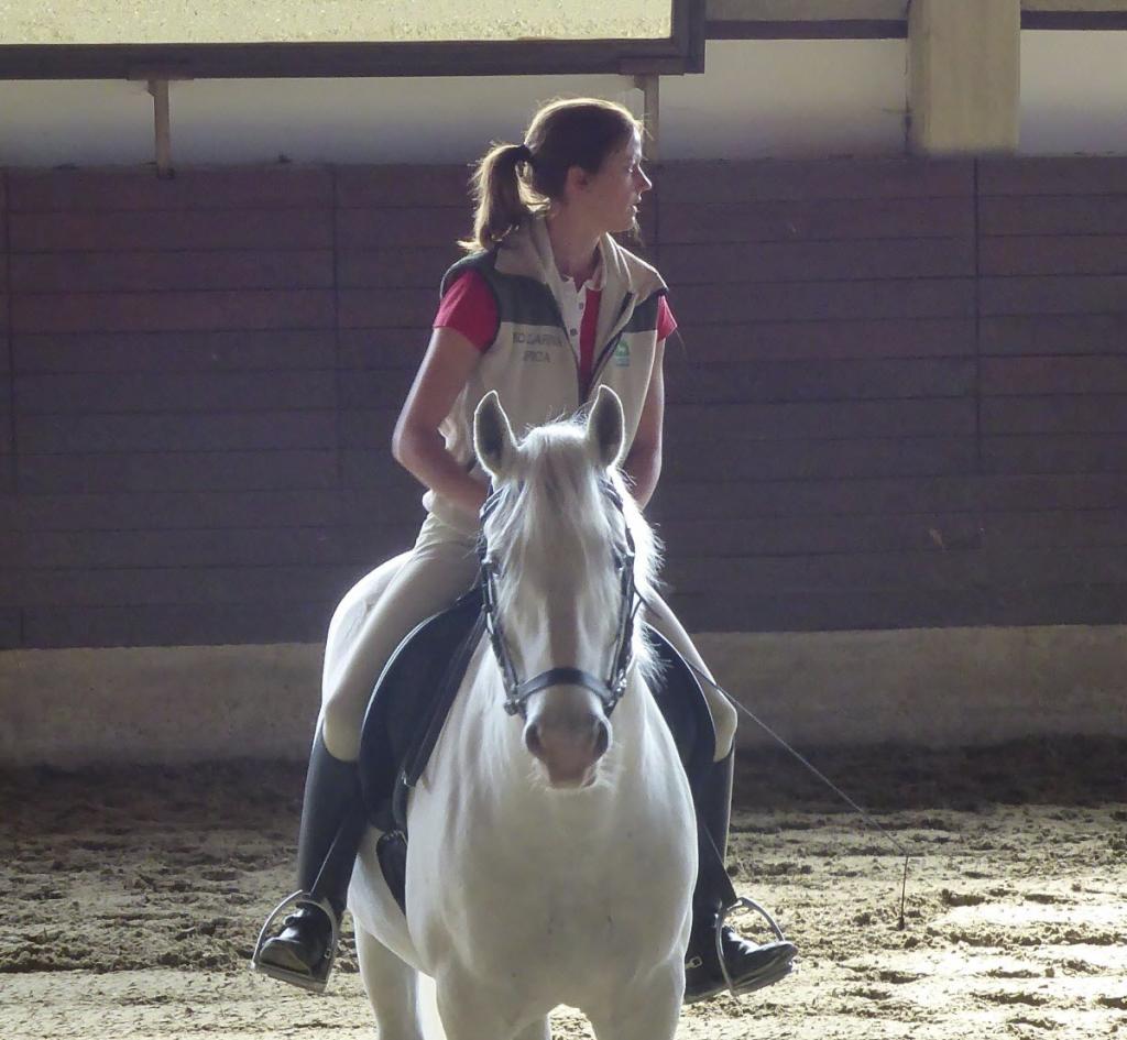 EquiNine Horse Training