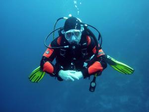 Paradise Divers | Louisville, Kentucky | Scuba Diving & Snorkeling