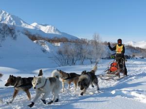 Mahoosuc Guide Service | Newry, Maine Dog Sledding | Great Vacations & Exciting Destinations