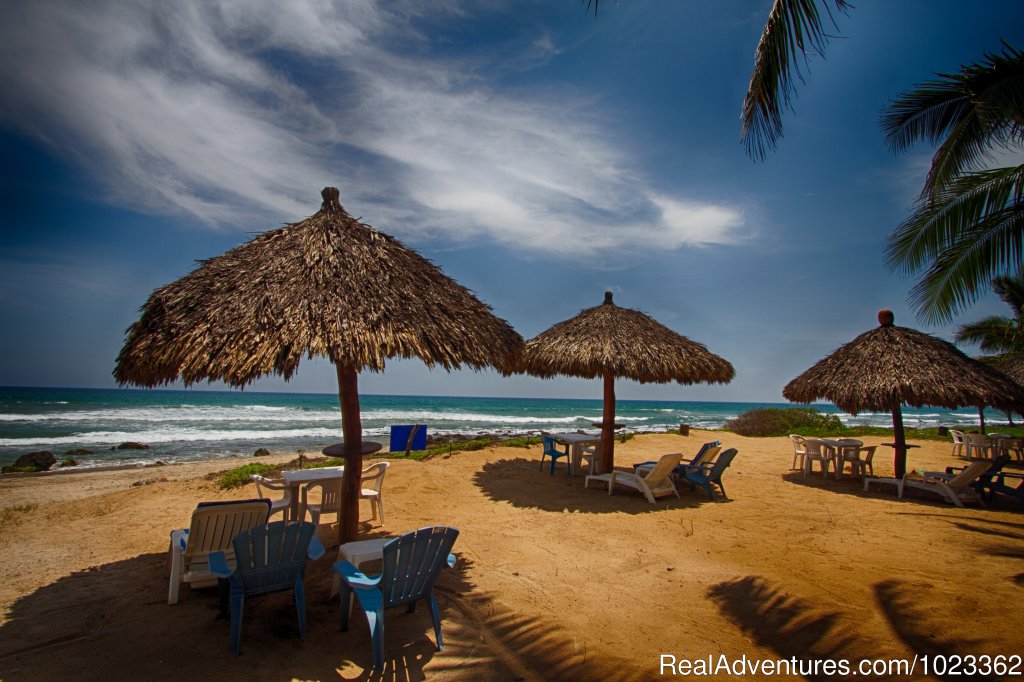 Beachfront Palapas | Casa Ki | Zihuatanejo, Mexico | Bed & Breakfasts | Image #1/6 | 
