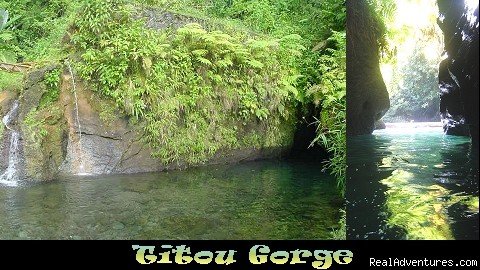 Titou Gorge, Morne Trois Pitons National Park
