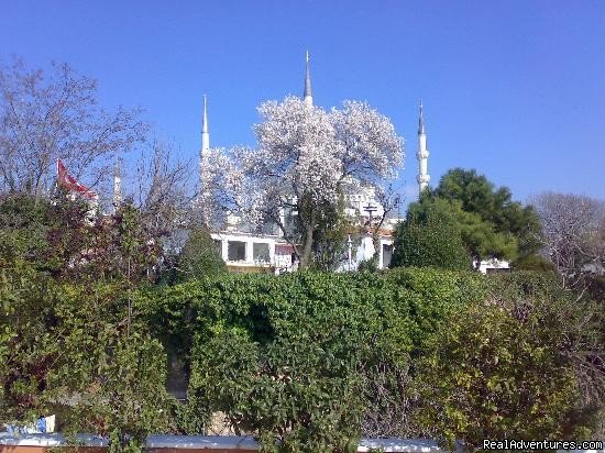 Blue Mosque viewed from breakfast area | Hotel Tashkonak Istanbul | Image #3/19 | 