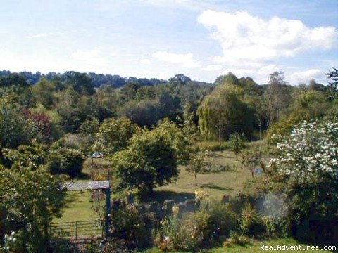View from Bedroom | Grove Hill Bed and Breakfast | Image #4/4 | 