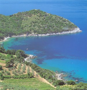 Navarro Hill Resort | Argentario   Gr, Italy Bed & Breakfasts | Great Vacations & Exciting Destinations