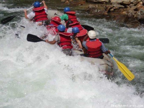 White Water Rafting | Indus Outback - Adventure all year round | Bangalore, India | Bed & Breakfasts | Image #1/1 | 