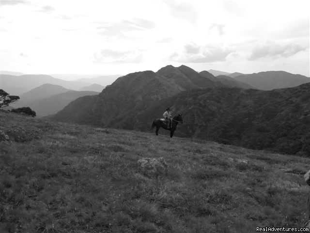 Photo 10 | Horse Riding | Image #10/21 | 