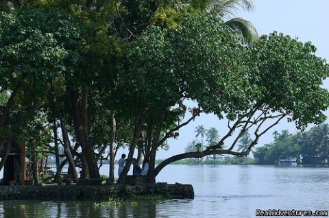 Rich backwater areas in Kumarakom