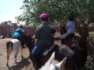 Al Sorat Farm: Peace In The Countryside | Giza, Egypt | Horseback Riding & Dude Ranches