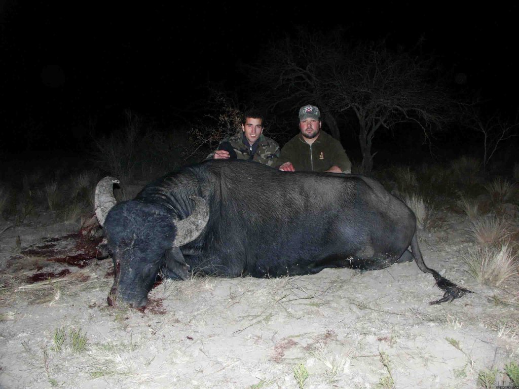 Water Buffalo | Argentina Hunts | Image #4/7 | 
