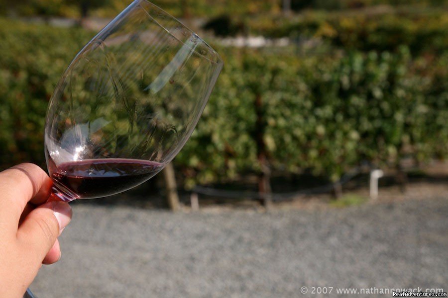2 Days in the Napa Valley Wine Country | Image #4/14 | 
