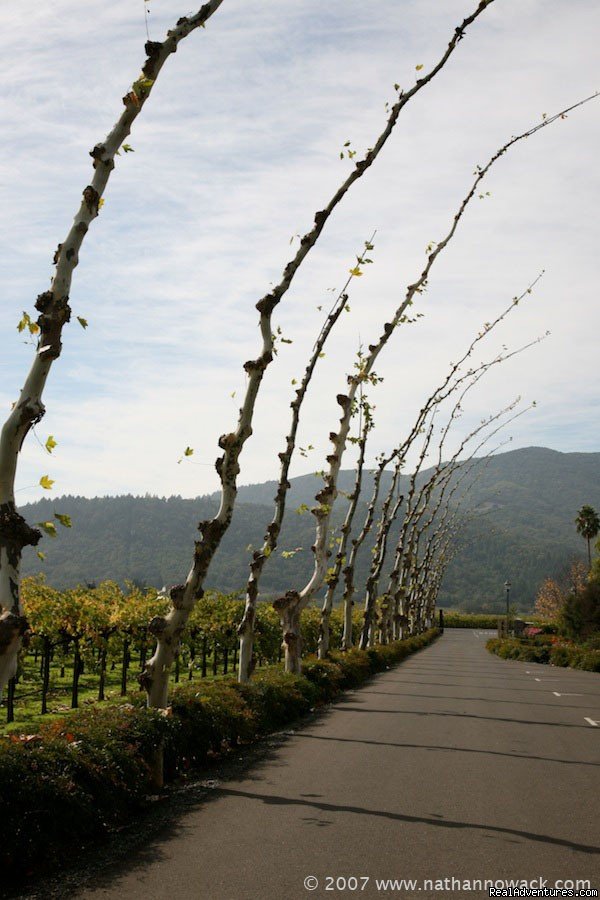 2 Days in the Napa Valley Wine Country | Image #11/14 | 