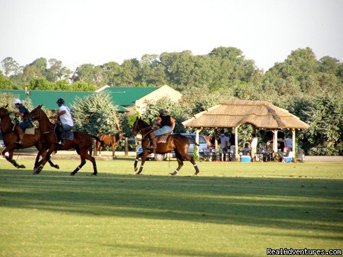 Polo in Pilar | Horse riding holidays in Patagonia | Image #2/5 | 