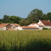 Holistic Health Retreat and Luxury Gite Rental View frm the fields
