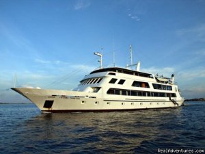 Dive the Maldives on MV Yasawa Princess