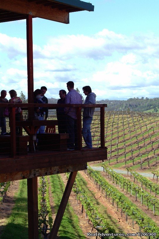 Gold Hill Vineyard in the El Dorado Wine Country | El Dorado County Visitors' Authority | Image #7/12 | 