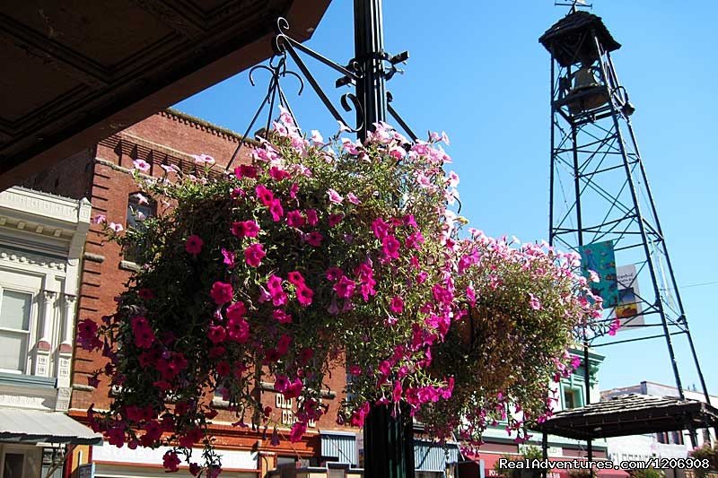 Flower Baskets on Historic Main Street | El Dorado County Visitors' Authority | Image #8/12 | 
