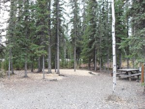 Tok RV Village, Inc. | Tok, Alaska Campgrounds & RV Parks | Great Vacations & Exciting Destinations