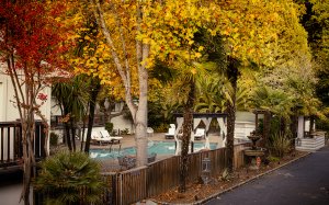Modern Boutique Hotel In The Russian River Valley | Guerneville, California Hotels & Resorts | Great Vacations & Exciting Destinations