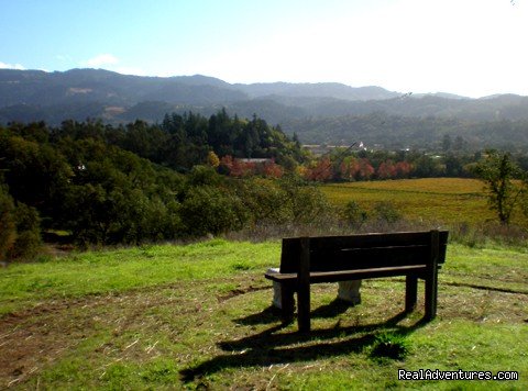 Hiking and sitting at Hillcrest Country Inn | Napa Valley's Destination Getaway at Hillcrest B&B | Image #3/9 | 