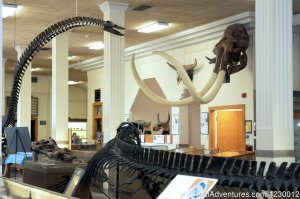 Museum of Geology | Aberdeen, South Dakota Museums & Art Galleries | Great Vacations & Exciting Destinations