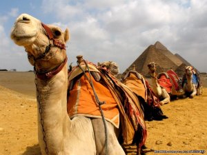 Egypt Best Travel Deals | Giza, Egypt | Sight-Seeing Tours