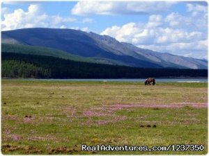 Horse Trek Near  Khovsgol Lake | Hovsgol Nuur, Mongolia Hiking & Trekking | Great Vacations & Exciting Destinations