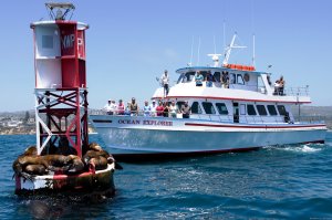 Newport Landing Whale Watching | Newport Beach, California | Sight-Seeing Tours