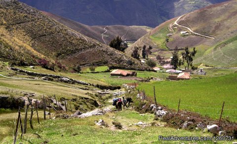 Venezuela Andes