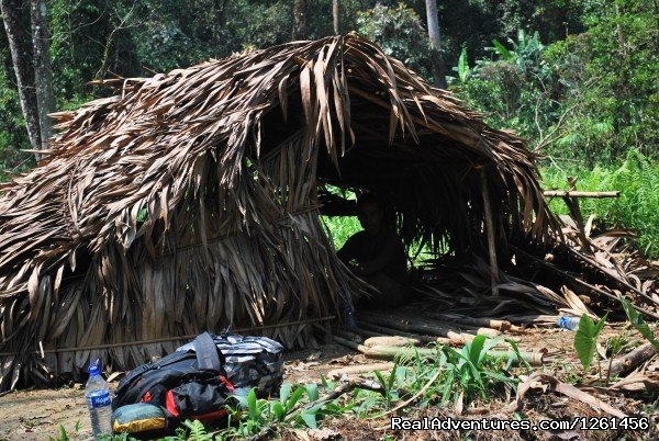 Tribal Living | Namdapha National Park Rainforest Tour And Trek | Image #7/11 | 