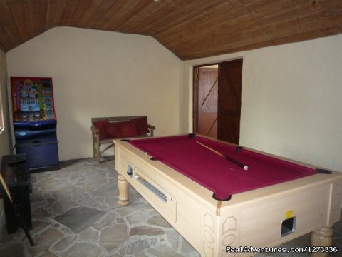 TV and pool table room