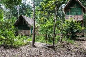 Conservation in Action at Tapiche Jungle Reserve | Iquitos, Peru Wildlife & Safari Tours | Great Vacations & Exciting Destinations