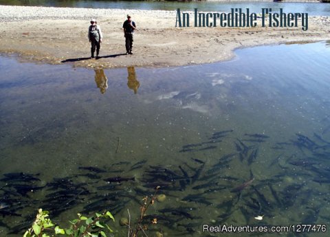 An incredible remote river and thriving Alaska fishery