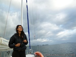 Sound Sailing- Crewed Sailboat Charters in Alaska | Sitka, Alaska Sailing | Great Vacations & Exciting Destinations