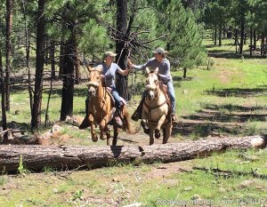 Sprucedale Guest Ranch | Alpine, Arizona Horseback Riding & Dude Ranches | Great Vacations & Exciting Destinations