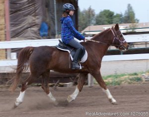Pine Trails Ranch | Davis, California | Horseback Riding & Dude Ranches