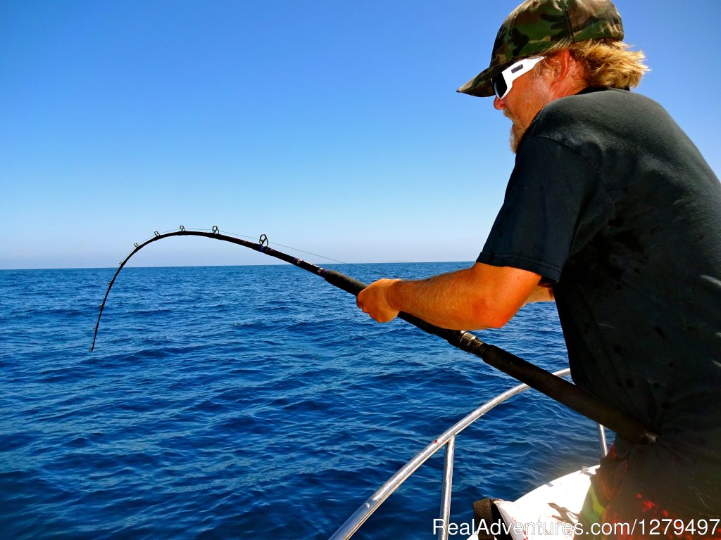 Bending | Shark fishing adventures | Image #7/10 | 