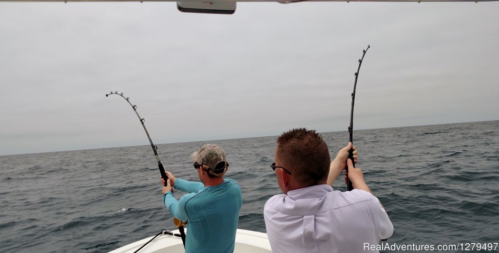 Double hook up | Shark fishing adventures | Image #3/10 | 