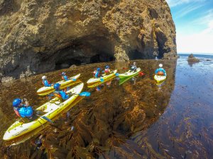 Santa Barbara Adventure Company | Santa Barbara, California | Kayaking & Canoeing