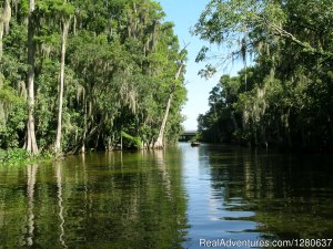 Premier Boat Tours | Mount Dora, Florida Cruises | Great Vacations & Exciting Destinations