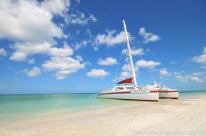 Sweet Liberty Catamaran Sailing & Boat Tours | Naples, Florida Cruises | Great Vacations & Exciting Destinations