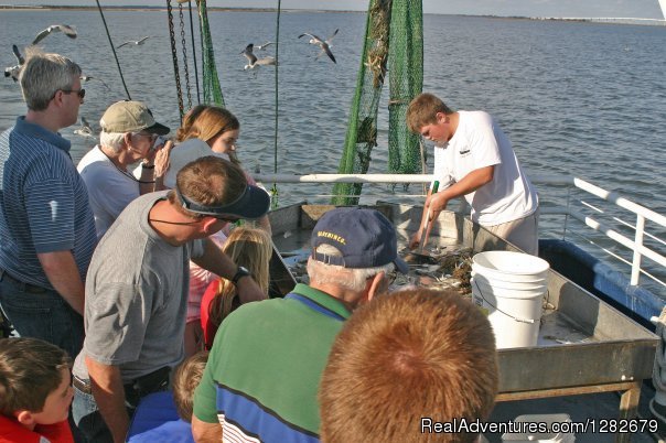 Sorting The Catch | Shrimpin Excursions Aboard Lady Jane | Brunswick, Georgia  | Cruises | Image #1/3 | 