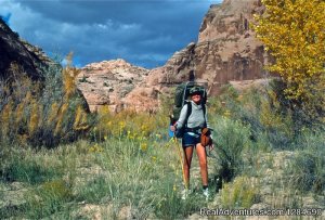 Big Wild Adventures | Emigrant, Montana | Hiking & Trekking