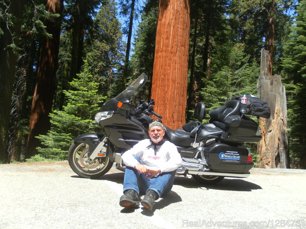 Riding in Yosemite it's all about California.... | Touring Motorcycles Rental And Accommodations | Image #5/20 | 