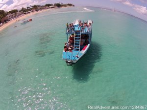 Turtles trips watersports  and Taxi service | Holetown, Barbados Scuba Diving & Snorkeling | Great Vacations & Exciting Destinations