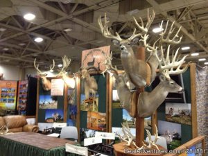 Cotton Mesa Trophy Whitetail | Wortham, Texas | Fishing Trips
